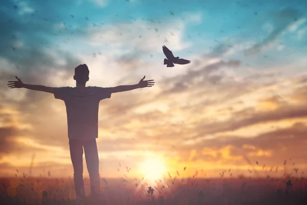 イエスの誕生と罪の赦しの美しさ