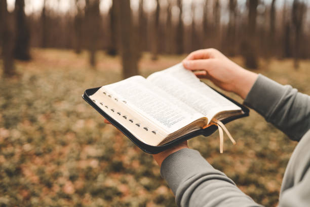 一同が食事をしているとき、イエスはパンを取り、祝福してそれを裂き、弟子たちに与えて言われた。「取って