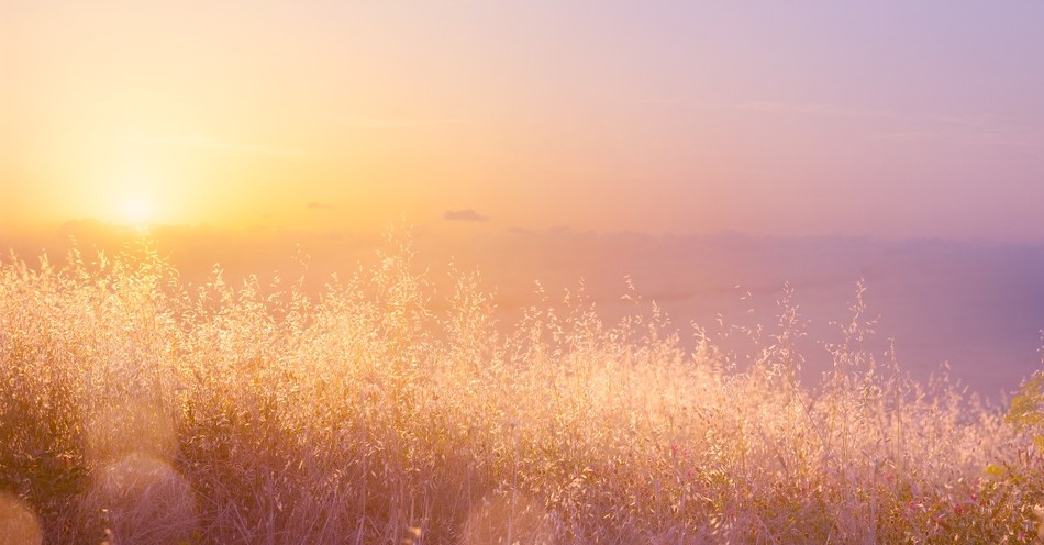 思慮深くあれ - エレミヤ書に見る神の警告と赦し