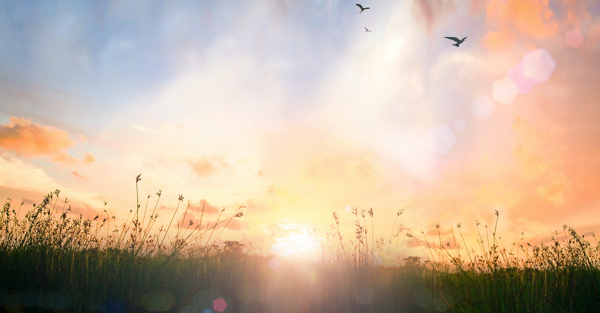 この世にあってキリストを崇める生き方