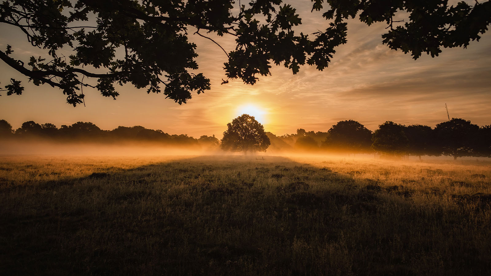 イエスの十字架とペトロの否認 - 聖書の重要な名言