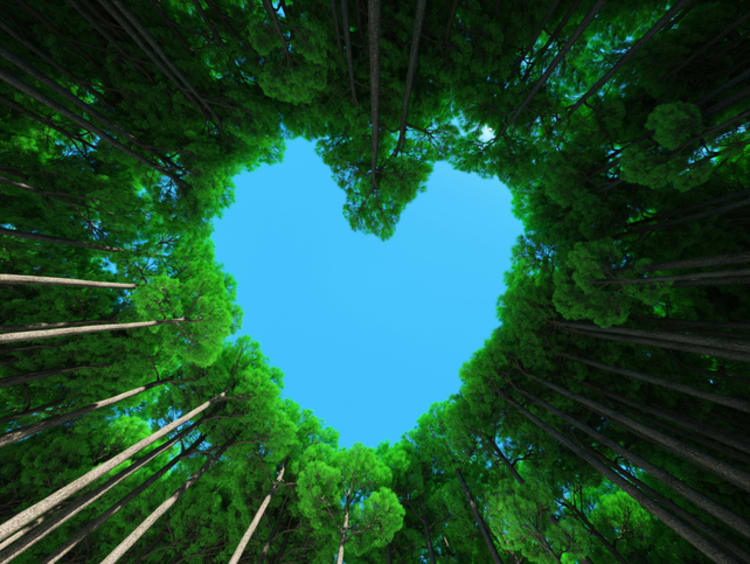 イエスの輝き - 復活の予兆とエリヤの到来