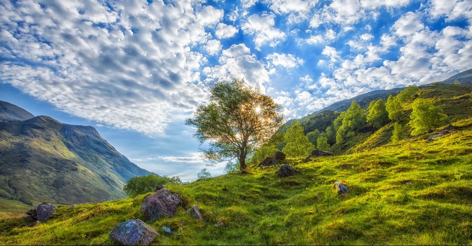 指揮者によって。賛歌。ダビデの詩。

神よ、嘆きの中にある私の声を聞いてください。

敵の脅威から私の命を守ってください