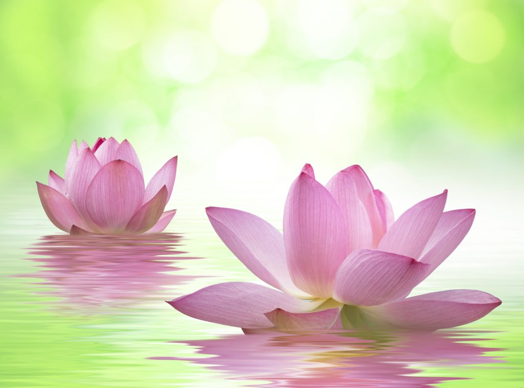 地獄の沙汰も金次第