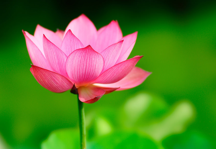 借る時の地蔵顔返す時の閻魔顔