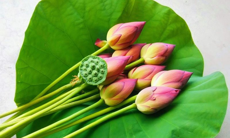 聞いて極楽見て地獄